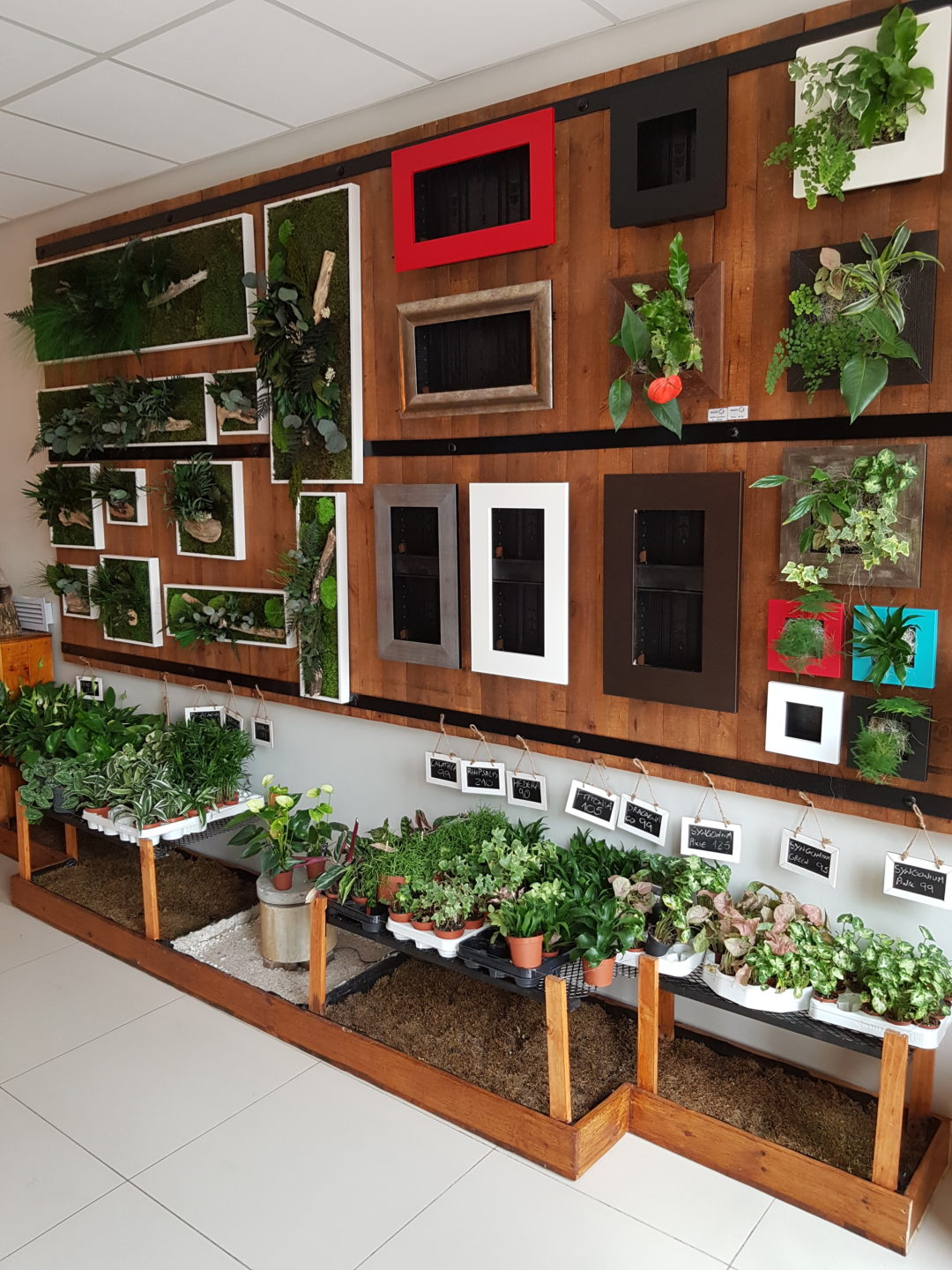 how-does-vertical-gardening-work-what-is-a-vertical-garden-learn